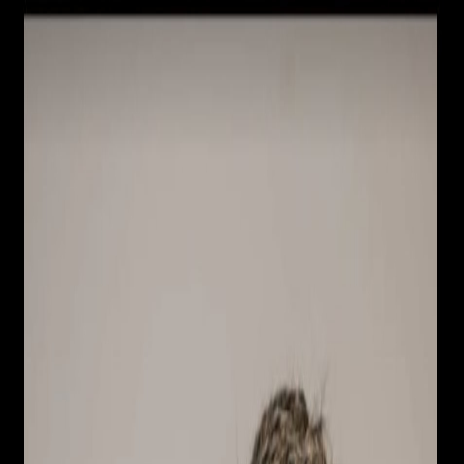 Bauchart Joffrey Agent général