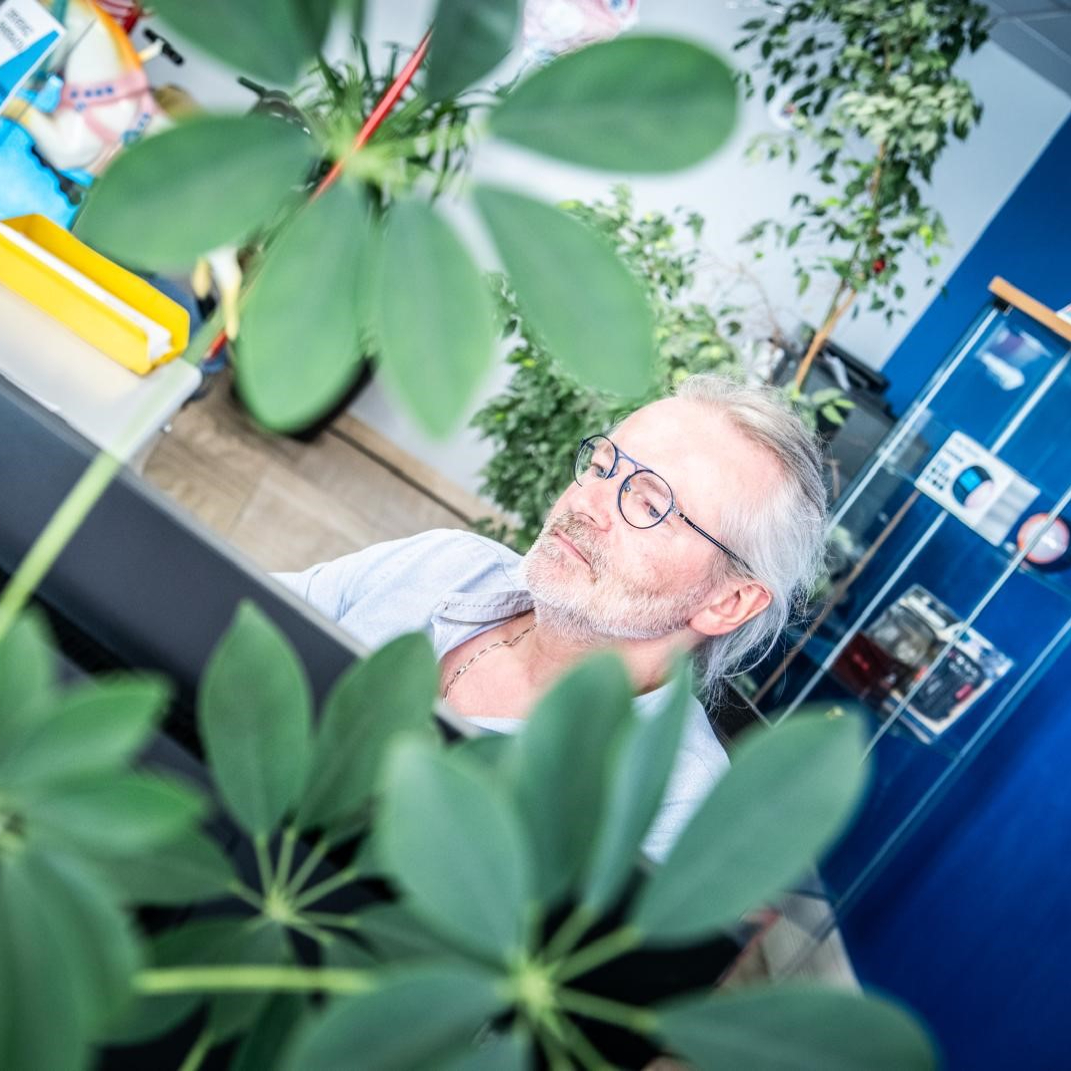 Philippe  Collaborateur 